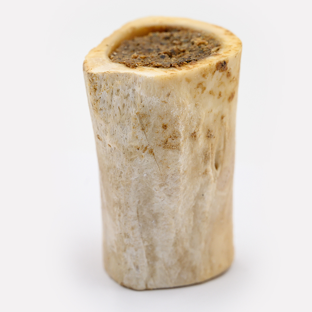 HPC105-Boredom-Buster-Medium-22-2