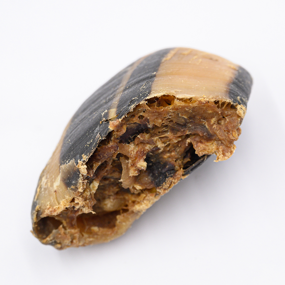 HPGH-Gourmet-Hoof-25-2