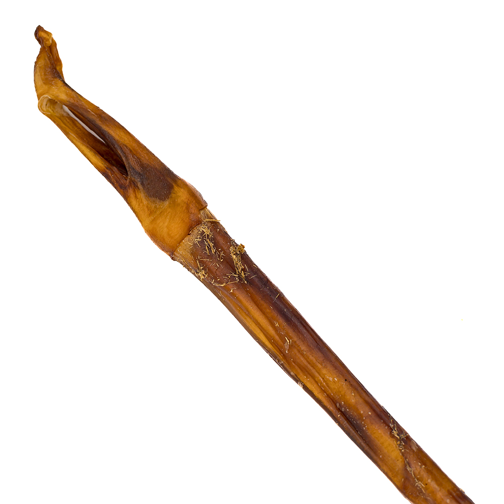 DANBSL-24-1
